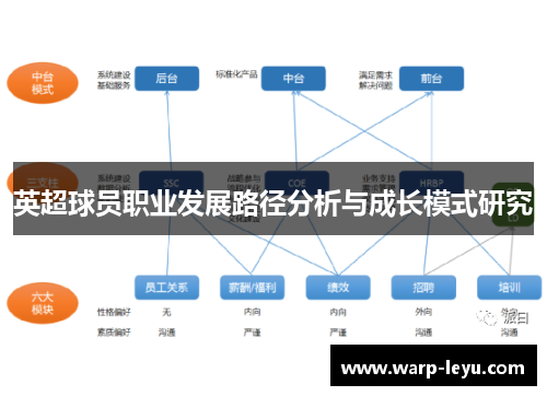 英超球员职业发展路径分析与成长模式研究