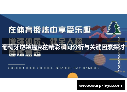 葡萄牙逆转捷克的精彩瞬间分析与关键因素探讨