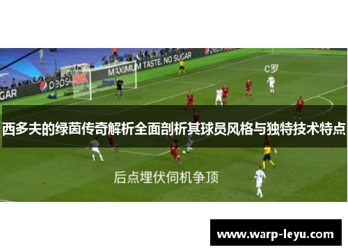 西多夫的绿茵传奇解析全面剖析其球员风格与独特技术特点