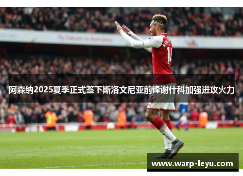 阿森纳2025夏季正式签下斯洛文尼亚前锋谢什科加强进攻火力