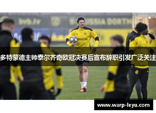 多特蒙德主帅泰尔齐奇欧冠决赛后宣布辞职引发广泛关注
